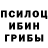 Галлюциногенные грибы Cubensis Sultan Dildaev